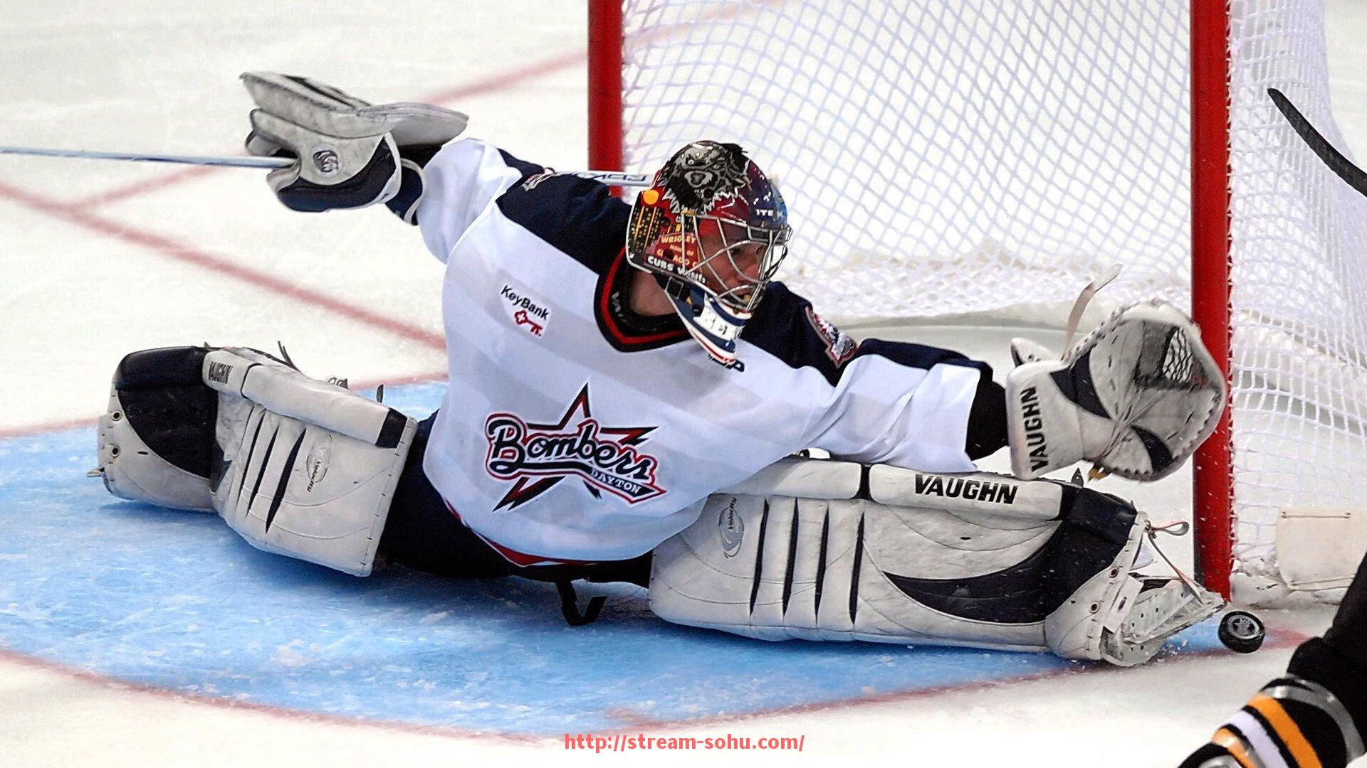 搜狐体育直播-德甲球队低谷期视频回放与复苏历程