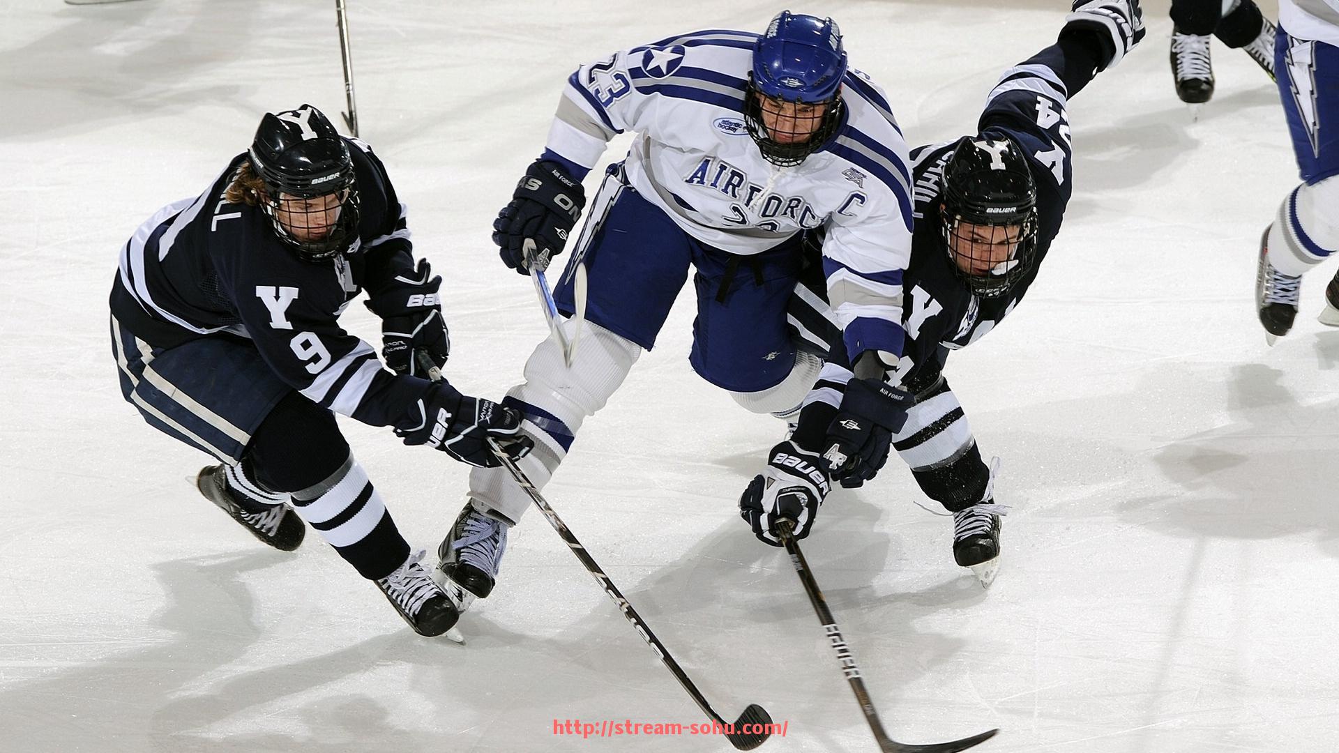 搜狐体育直播-火箭队大鲨鱼奥尼尔加盟传闻与实际情况